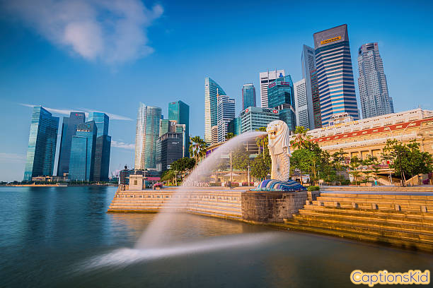 Merlion Park Captions For Instagram